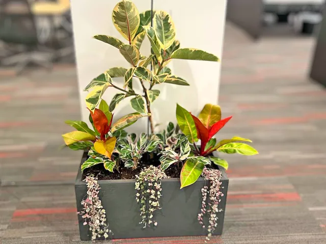 work photo from apexhorticulturedesign.com