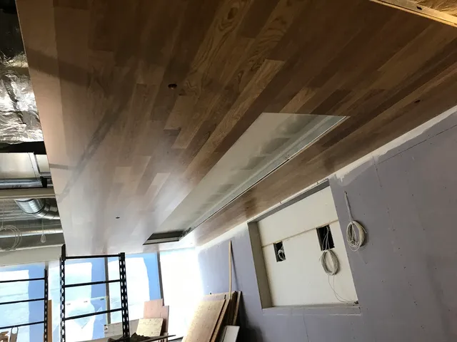 Silva Remodeling