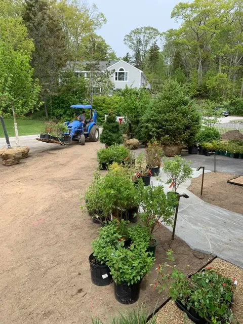 work photo from tammarolandscaping.com