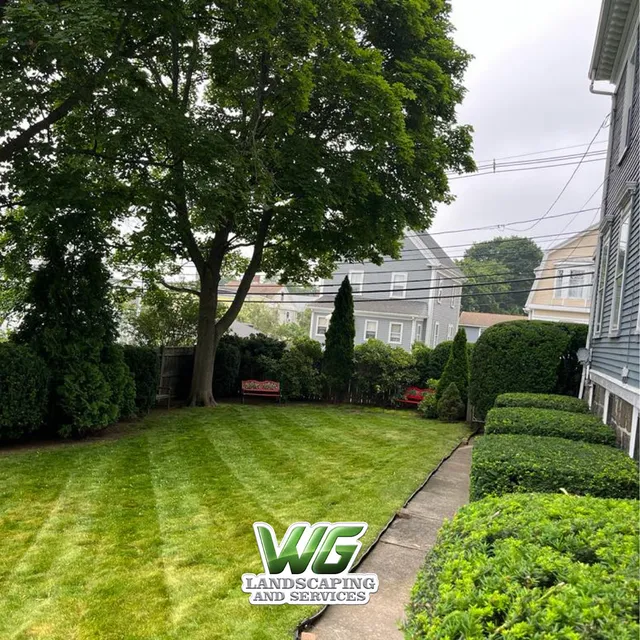 WG Landscaping and Services work photo
