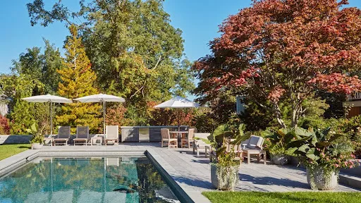 Bernice Wahler Landscapes work photo