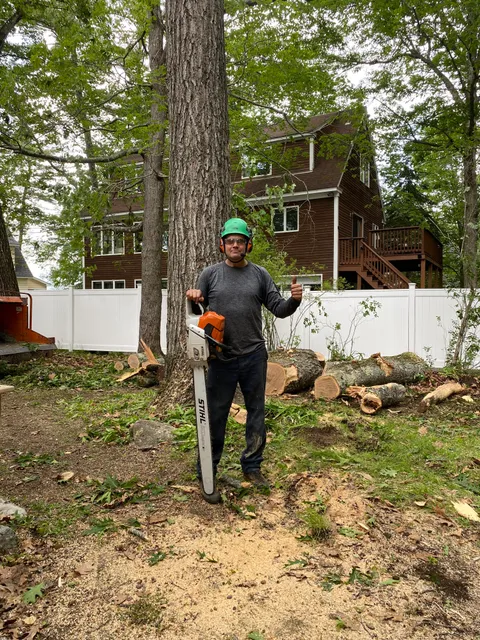 Trinward Tree Service work photo
