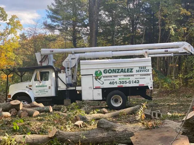 Gonzalez Tree Service work photo