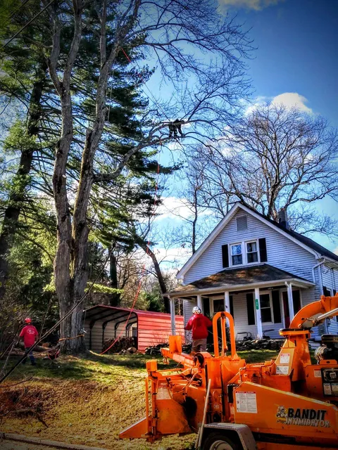 work photo from arbortechct.com