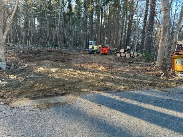 Lot clearing