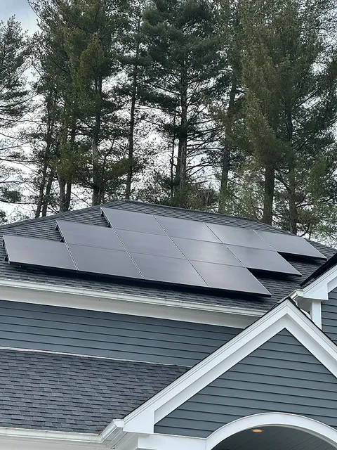 Solar panels on peaked roof with pine trees