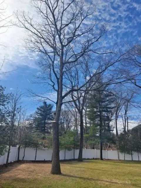work photo from jhernandezlandscaping.com
