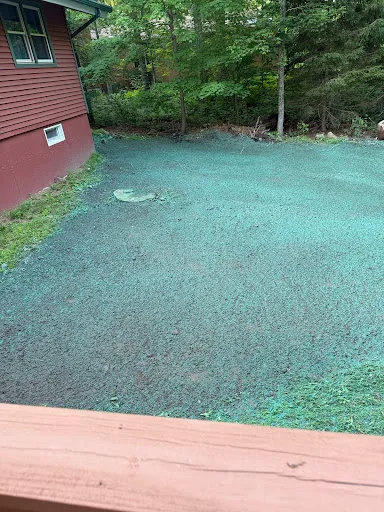 Review photo by Jovan Flores
