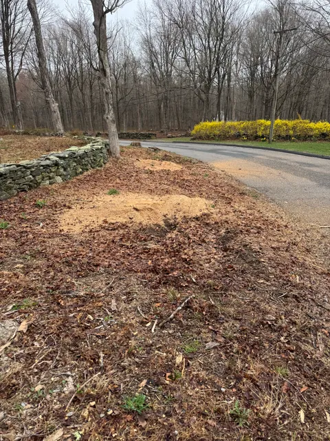ClearGround Stump Grinding work photo
