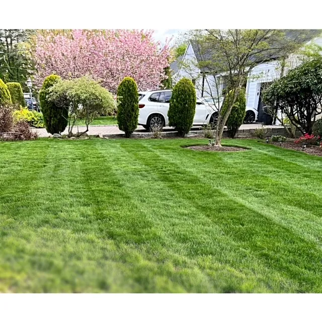 DRK Landscapes LLC - Eco-Friendly, All Electric Lawn Services work photo
