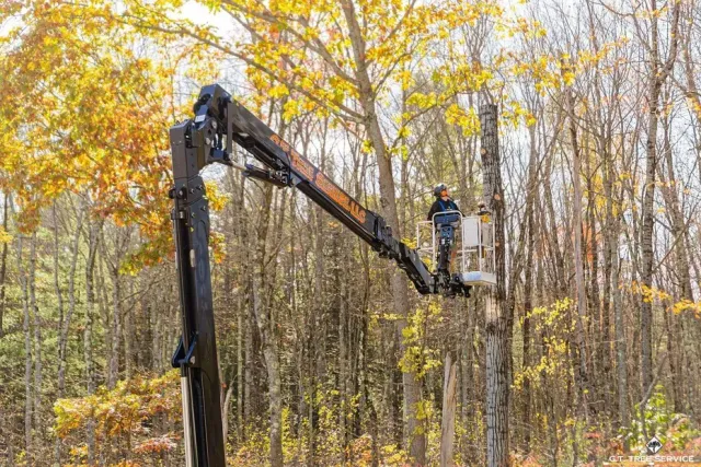 Worker in a boom lift trimming trees in an autumn forest