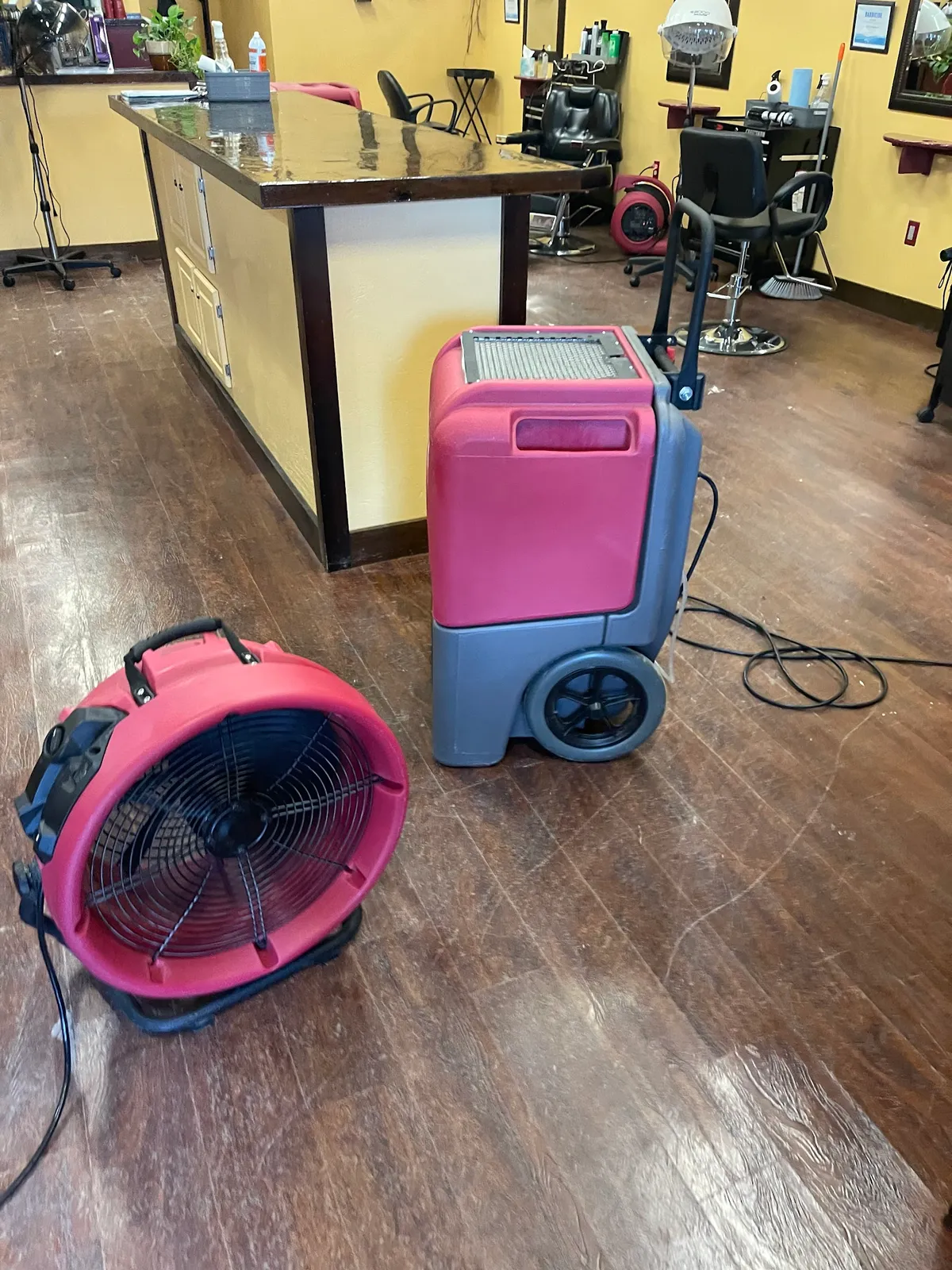 PuroClean Certified Restoration Specialists