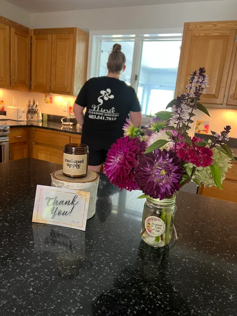 Nini's Cleaning LLC work photo