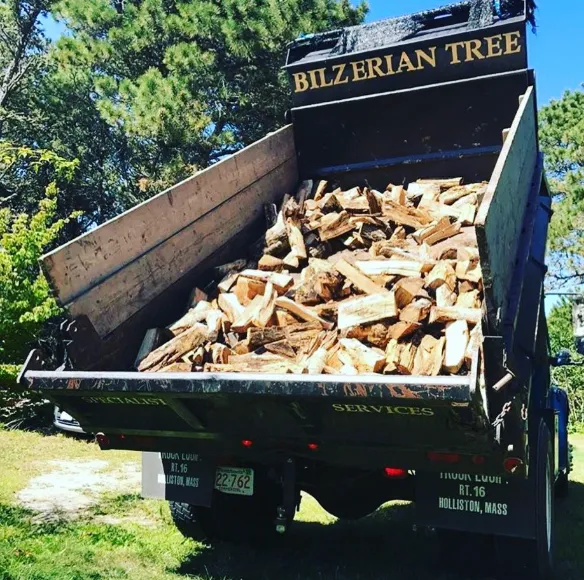 Firewood