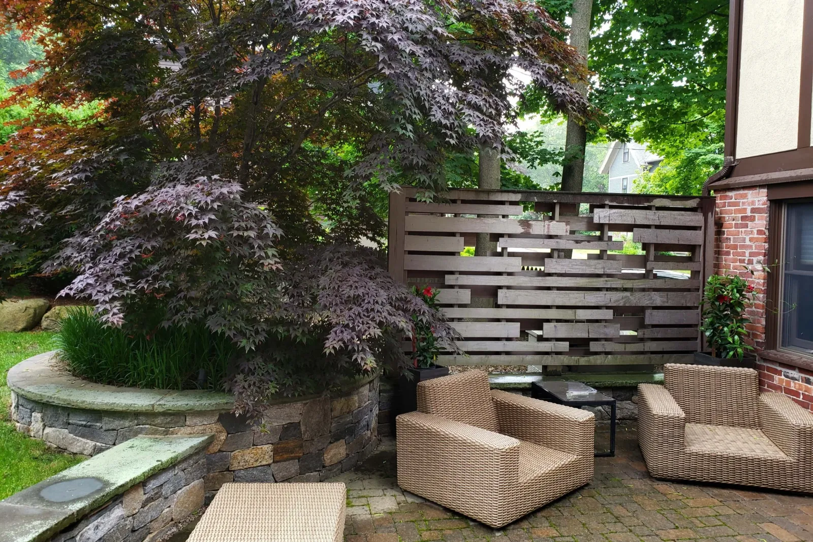 Urban Oasis