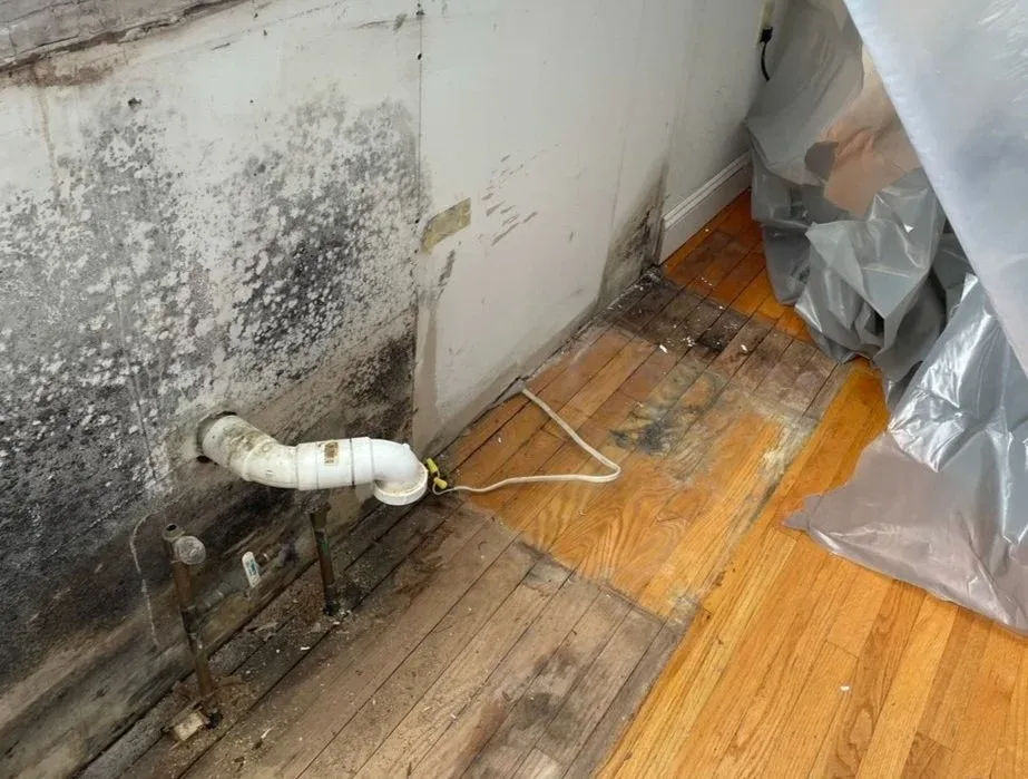 Close-up of a wall with mold and water damage, exposed plumbing pipe, and partially removed wooden floorboards.