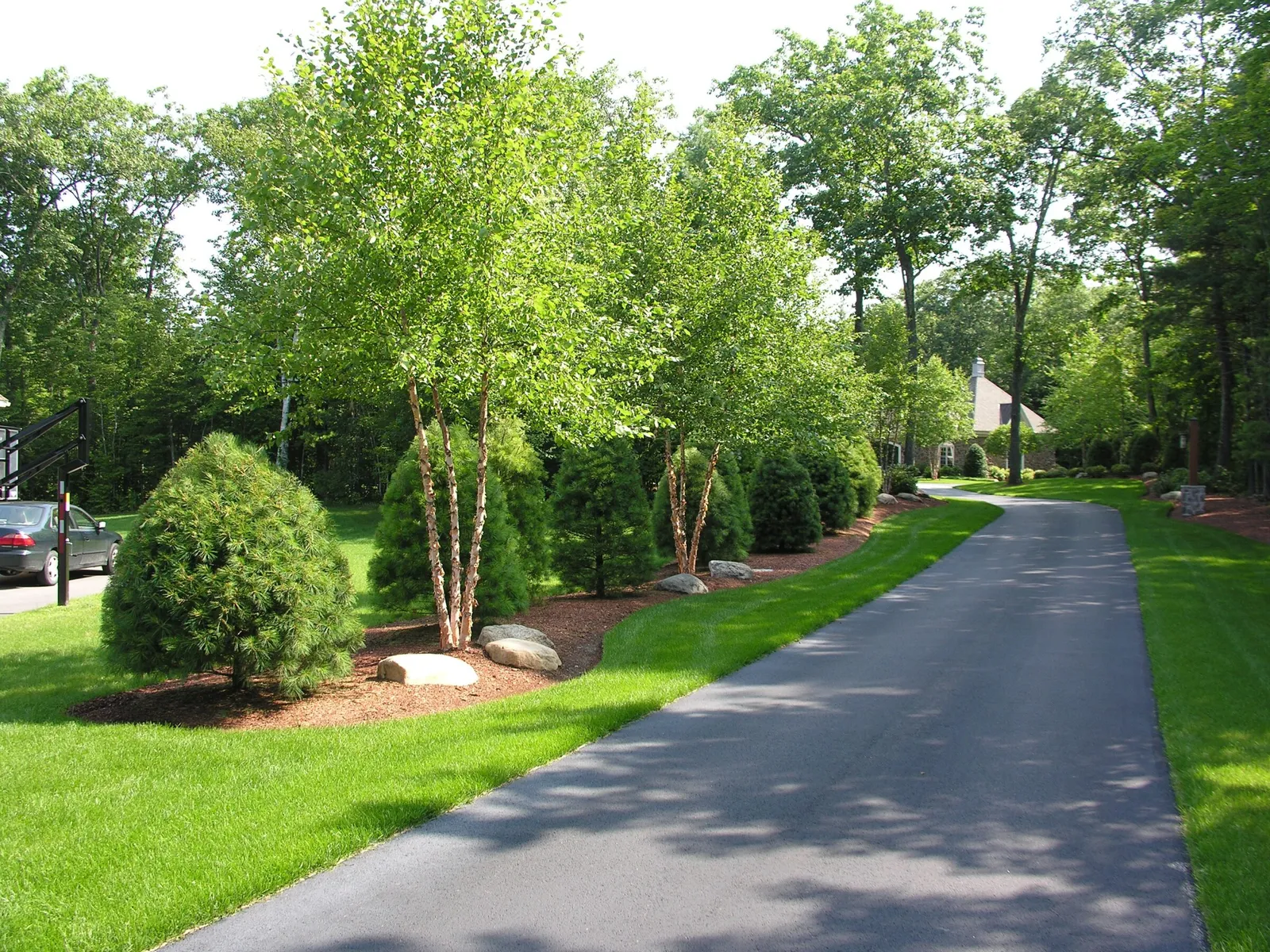 A paved driveway curves through a landscaped yard with lush grass, trees, and shrubs. A house is partially visible in the background.