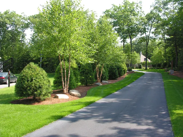 A paved driveway curves through a landscaped yard with lush grass, trees, and shrubs. A house is partially visible in the background.
