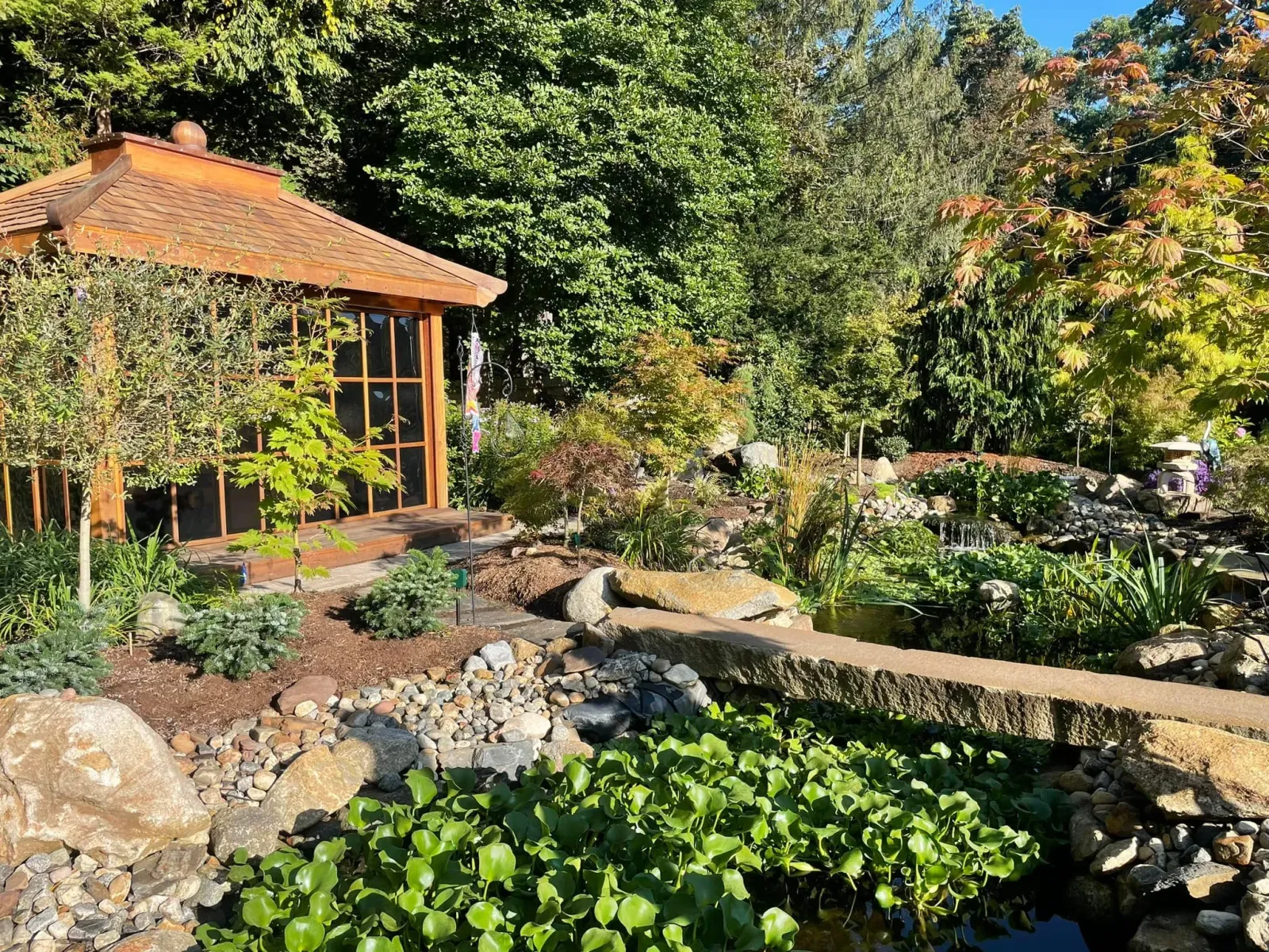 pond 1.jpg