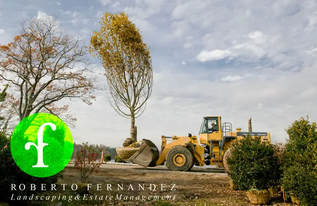 work photo from robertofernandez.com