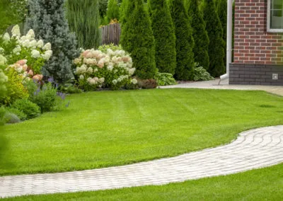 Landscape Maintenance Projects