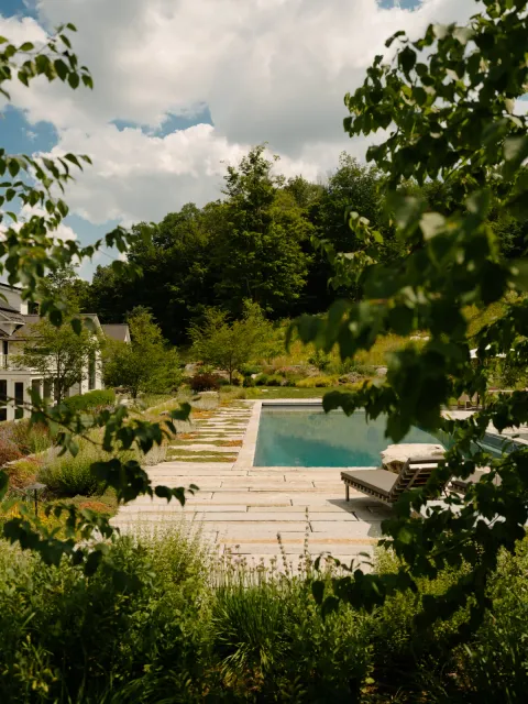 Planting frames stone paving at the pool