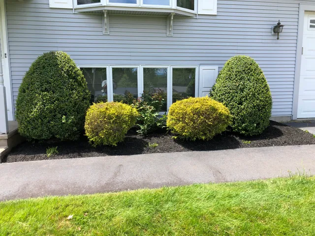 DiTullio Landscaping LLC work photo