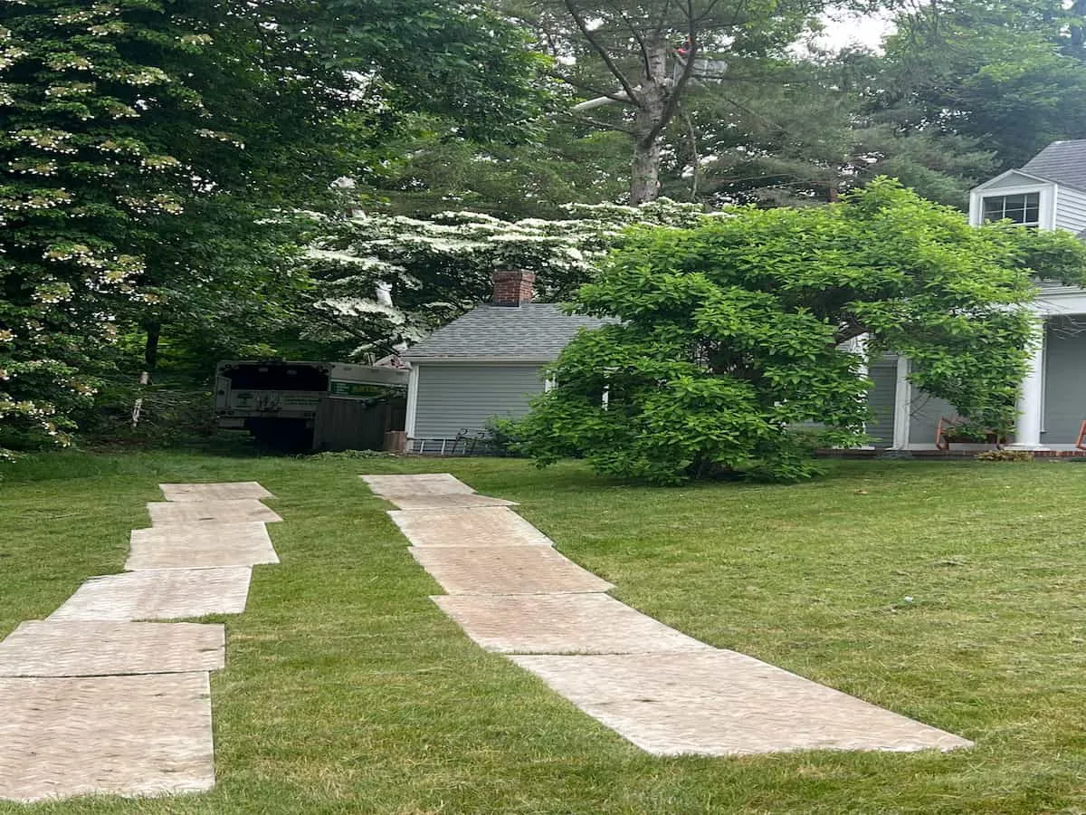 Lot Cleaning