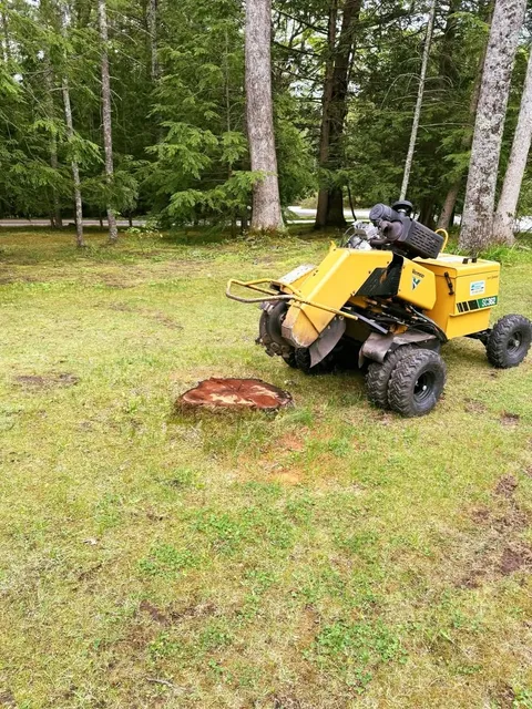 work photo from dcwoodservices.com