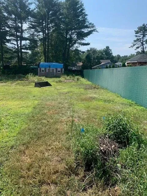 Hopkins lawn care - before