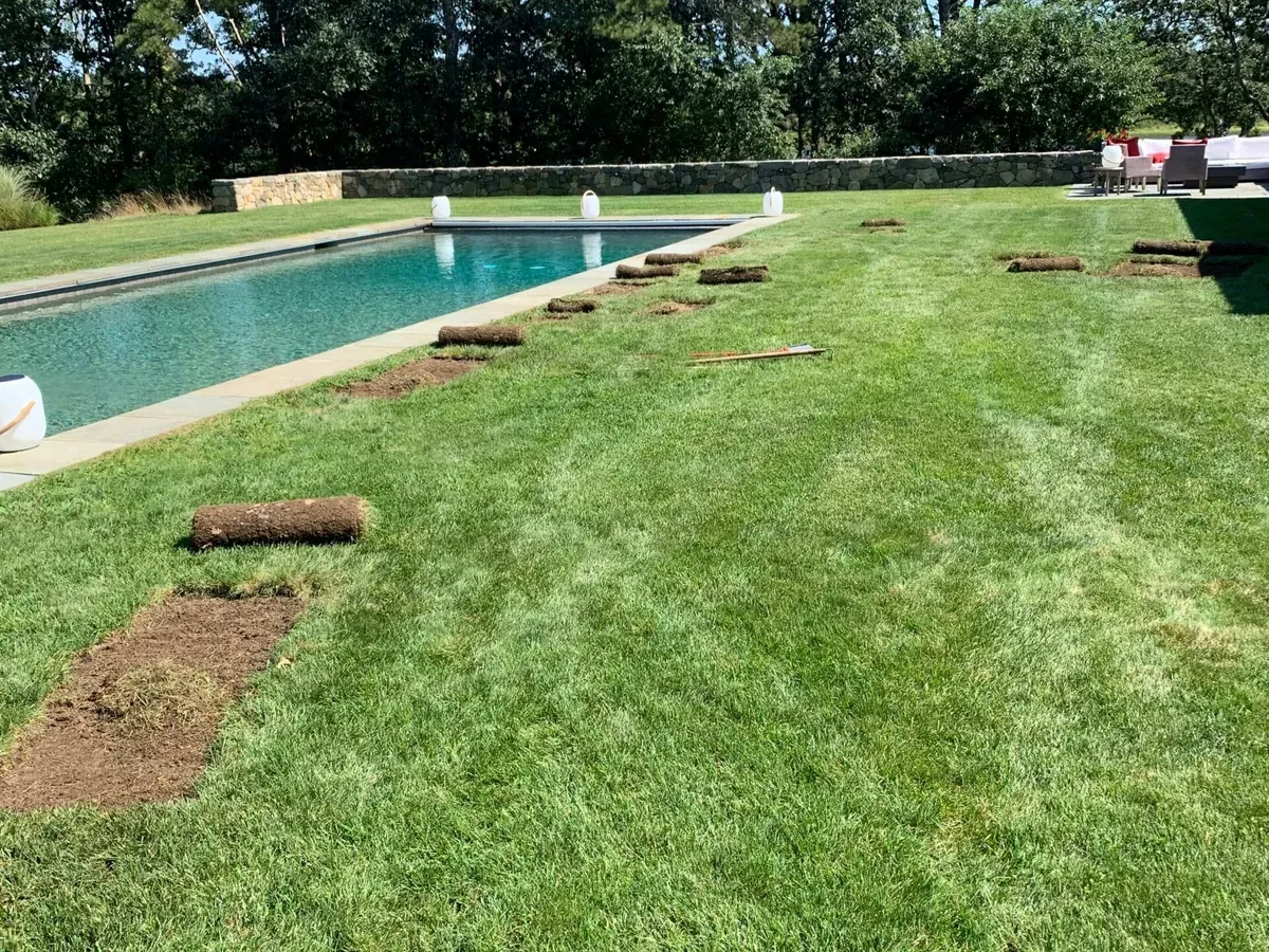 Fresh sod lawn installation