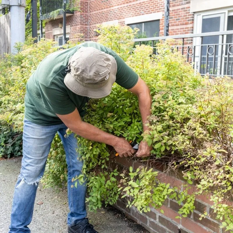 work photo from hslandscapeandmasonry.com