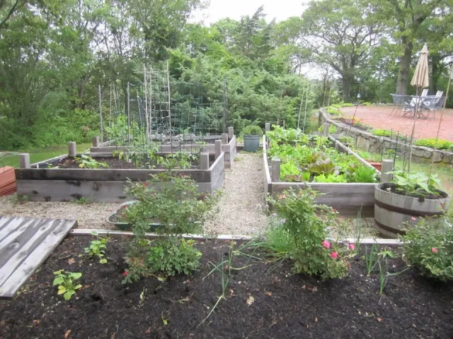 Raised bed vegetable garden. Scituate, MA