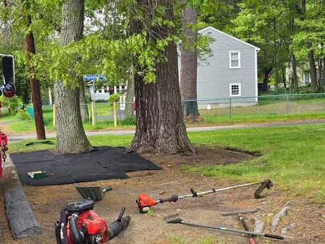work photo from peymanlandscaping.com