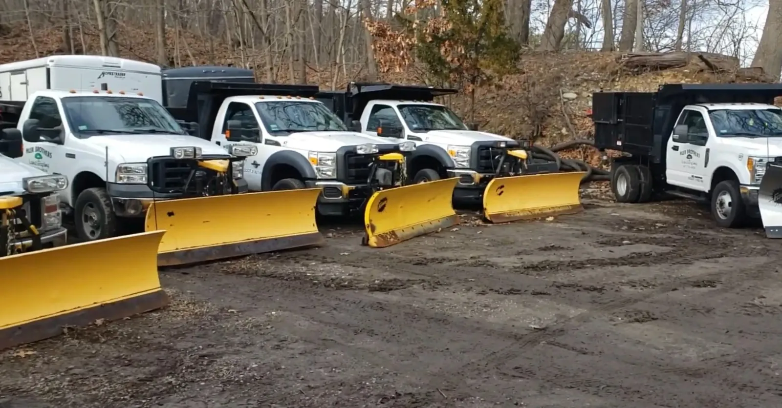 Professional snow plow trucks parked in a row during a winter storm.