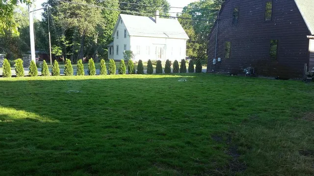 MVK Landscaping & Silt Sock work photo