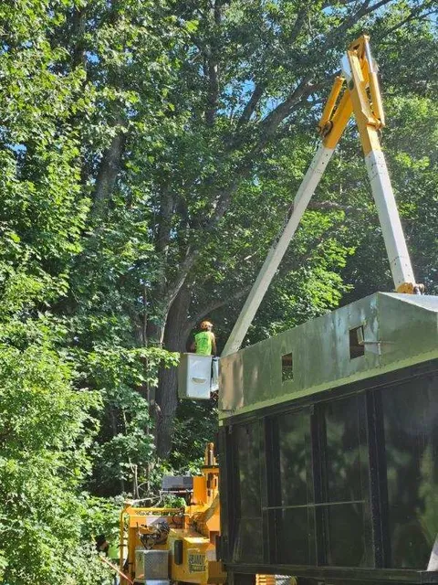 Tree Trimming Images Eight - Rutland, MA - Trees Unlimited