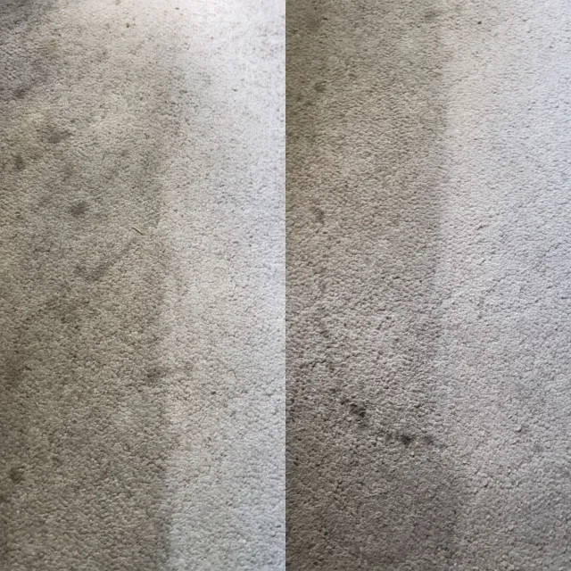 a before and after picture of a carpet being cleaned