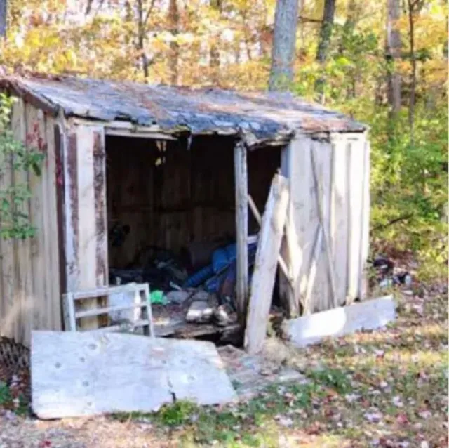 Dilapidated shed in a wooded area; front wall and roof damaged, debris inside.