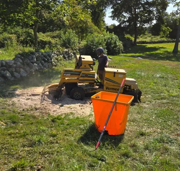 Tree Service 2