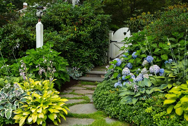 work photo from finegardeners.com
