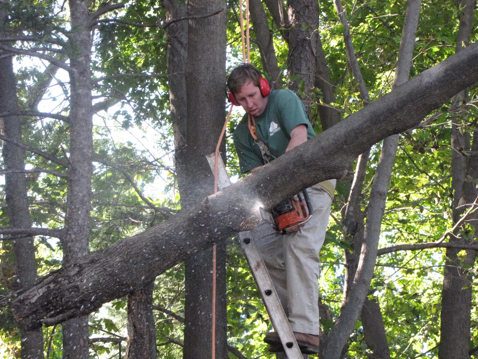 work photo from Google listing