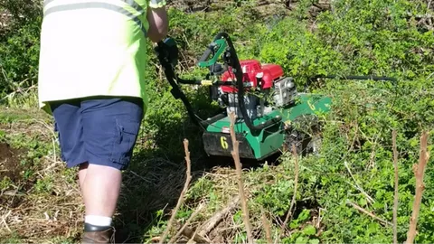 Using a brush mower to cut down overgrowth