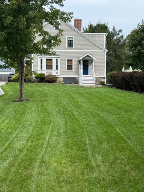 Weekly maintenance on a front lawn under a mature maple