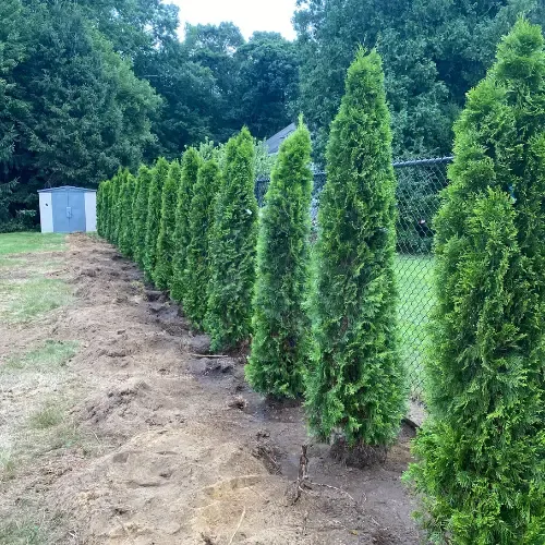 work photo from buddybrownexcavationllc.com