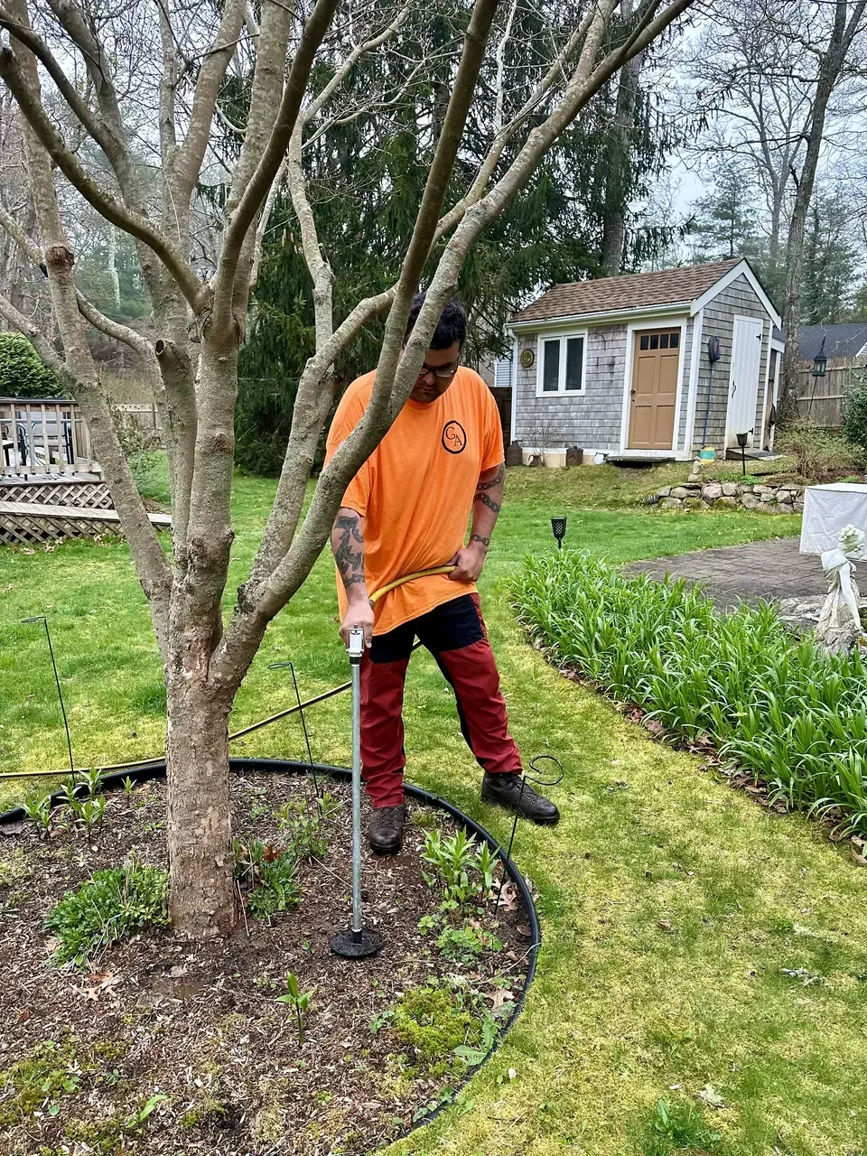 work photo from geddisarborists.com