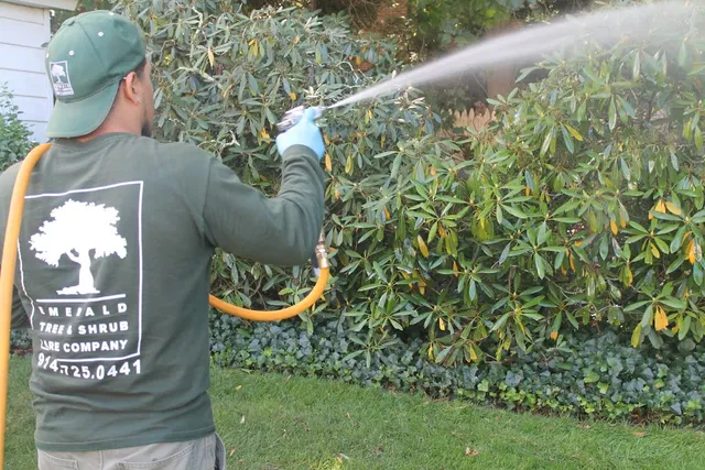 Emerald Tree & Shrub Care Company work photo
