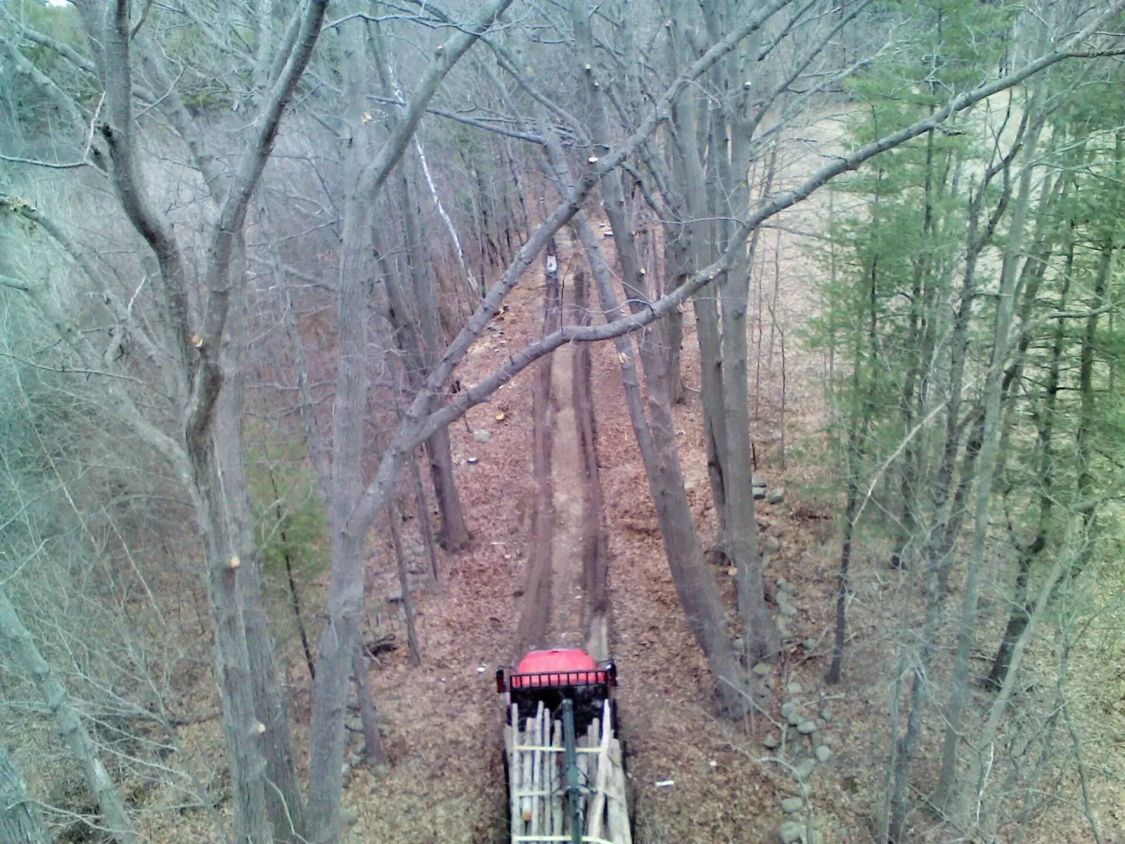 work photo from atomictreeserviceinc.com