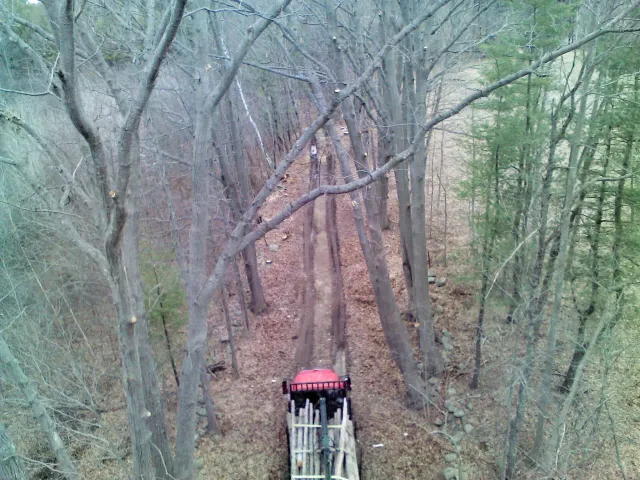 work photo from atomictreeserviceinc.com