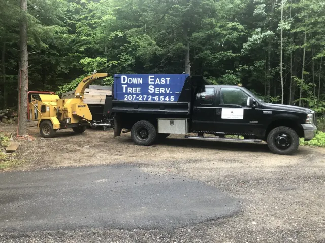 work photo from detreeservices.com